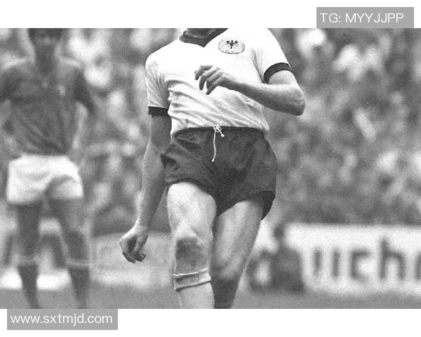 梁浩然足球明星的成就与影响力分析及其代表性球员介绍