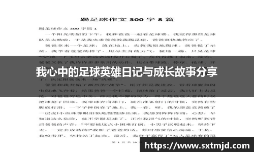 我心中的足球英雄日记与成长故事分享
